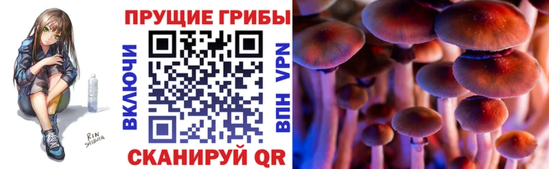 как найти закладки  Казань  Галлюциногенные грибы GOLDEN TEACHER 