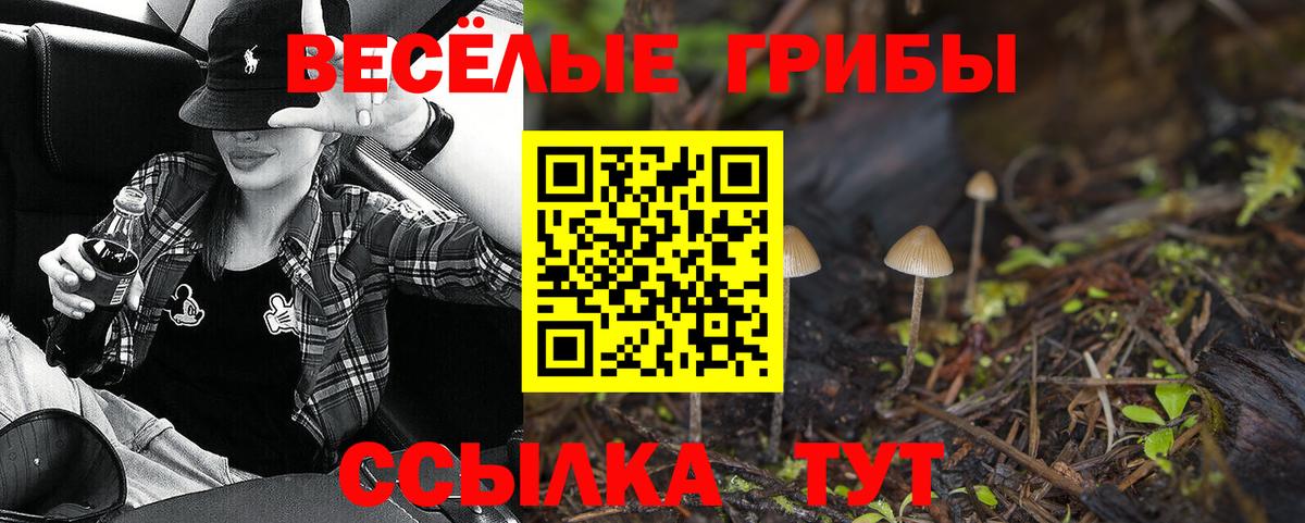 Галлюциногенные грибы Magic Shrooms Казань
